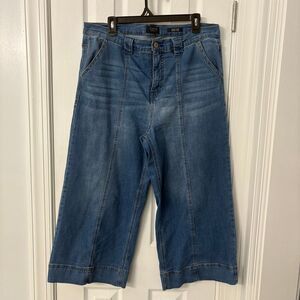 Curve Appeal High-Rise Wide Leg Jeans / Cropped Women’s 16/33 Blue Denim